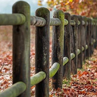 Modi nihil modi repudiandae et laborum.